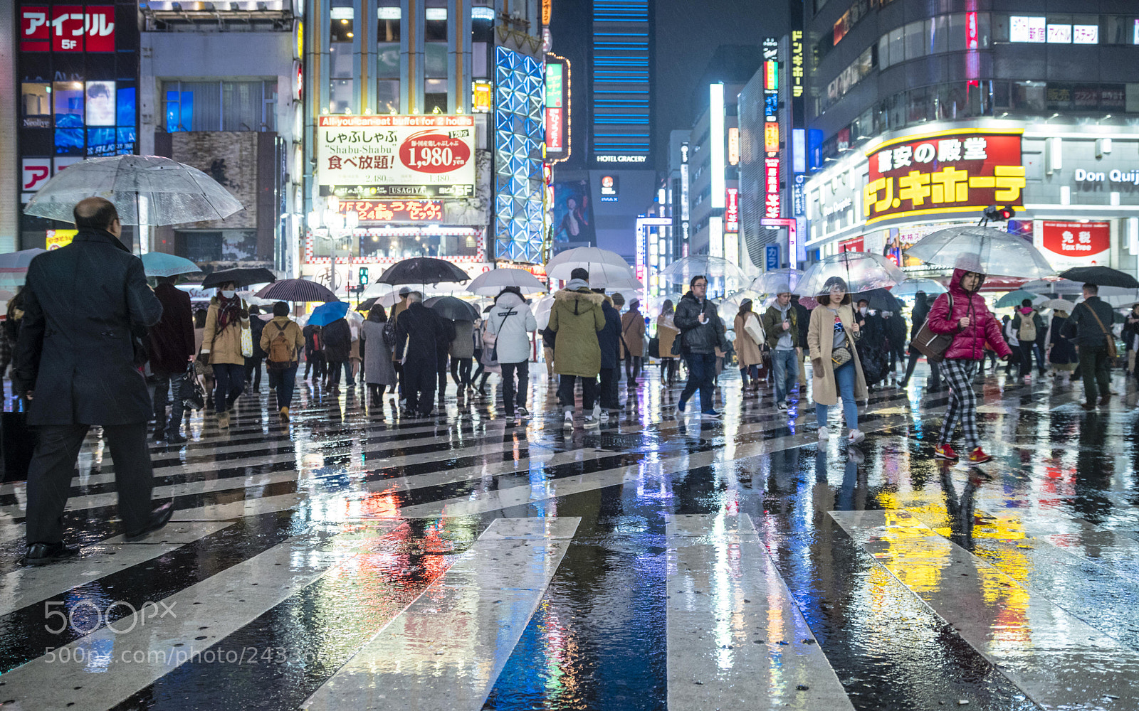 Sony a7R III sample photo. View in the rain photography