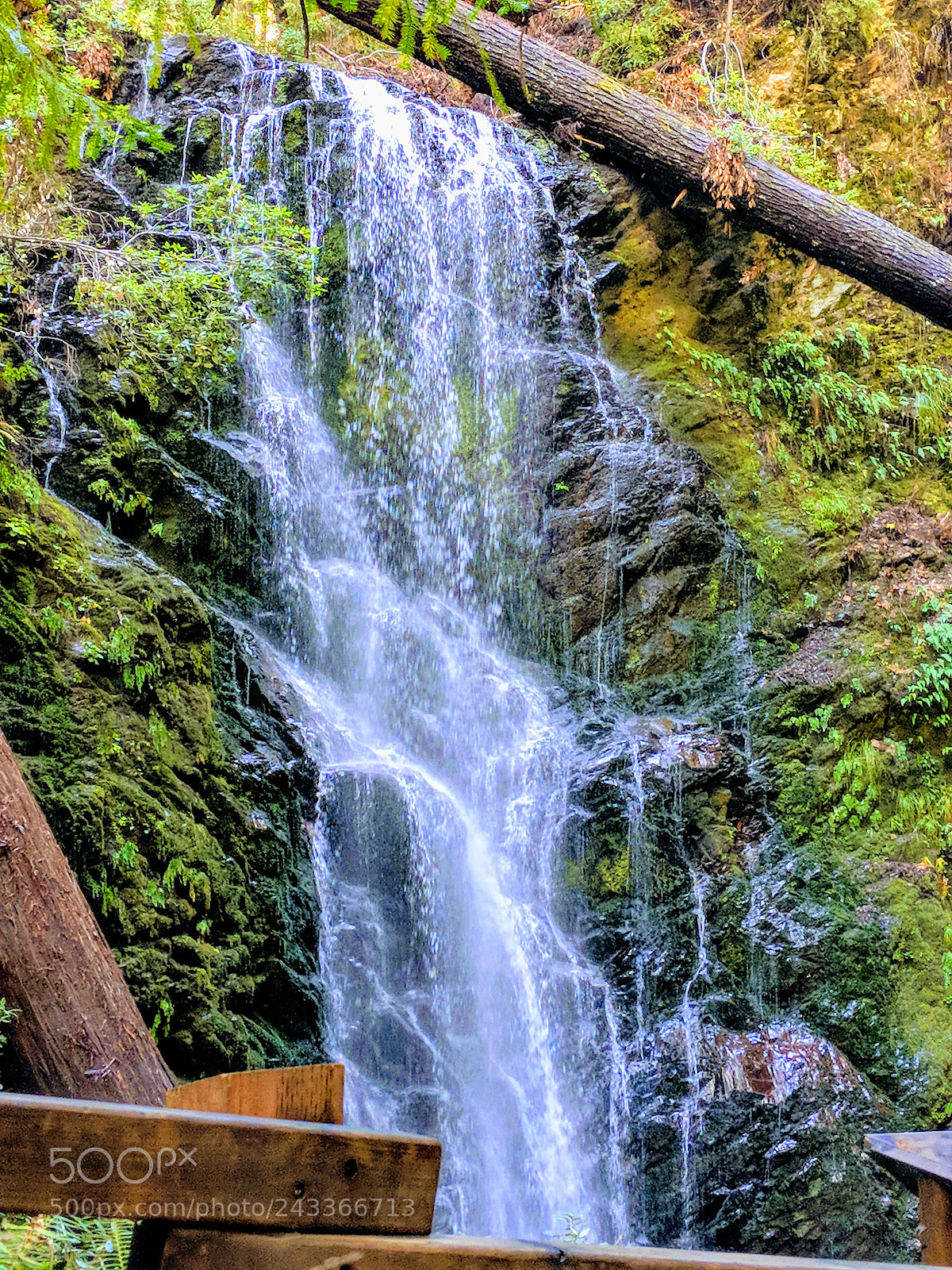 Google Pixel 2 sample photo. Untitled photography