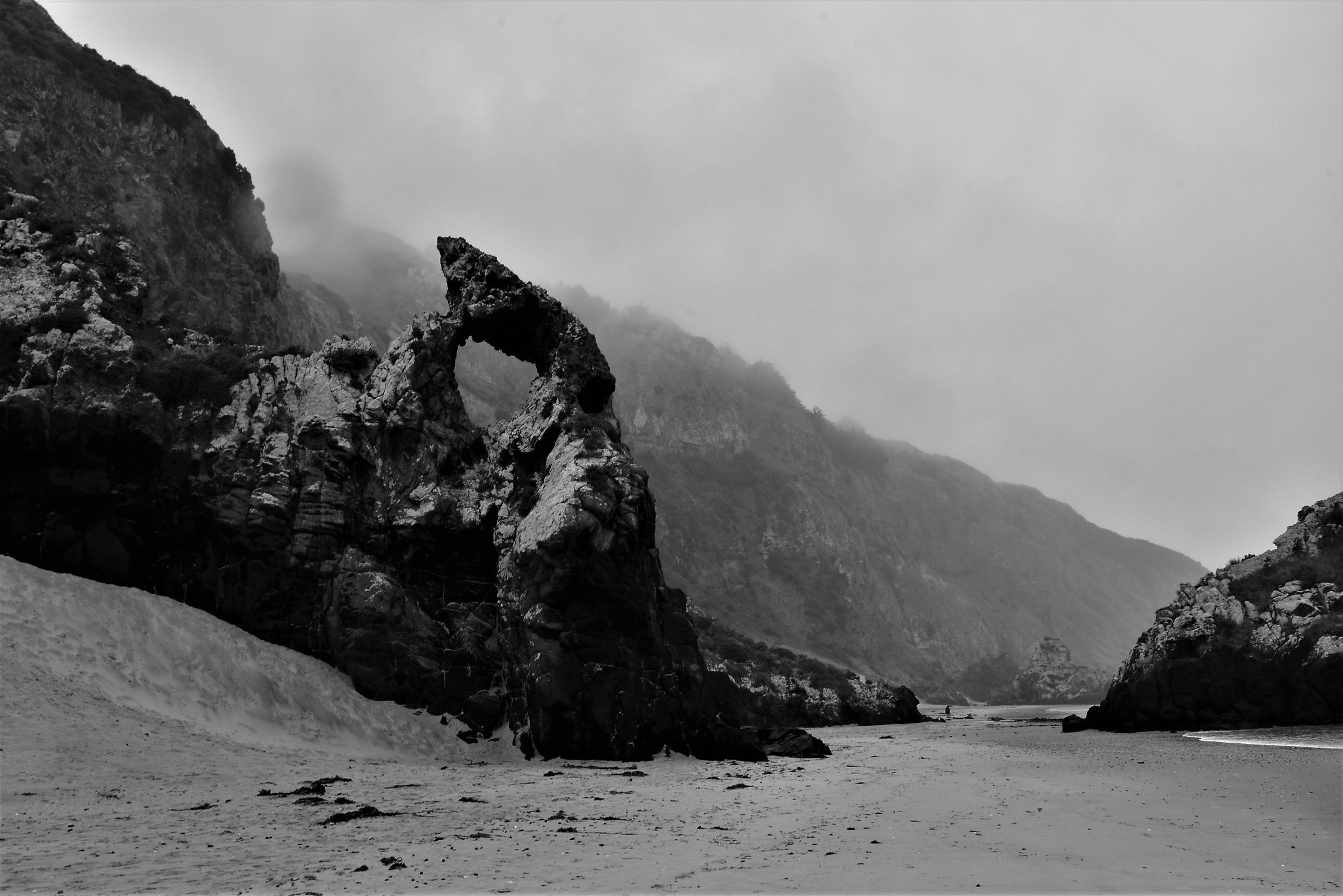 Nikon D5500 sample photo. Aramoana, otago, new zealand photography