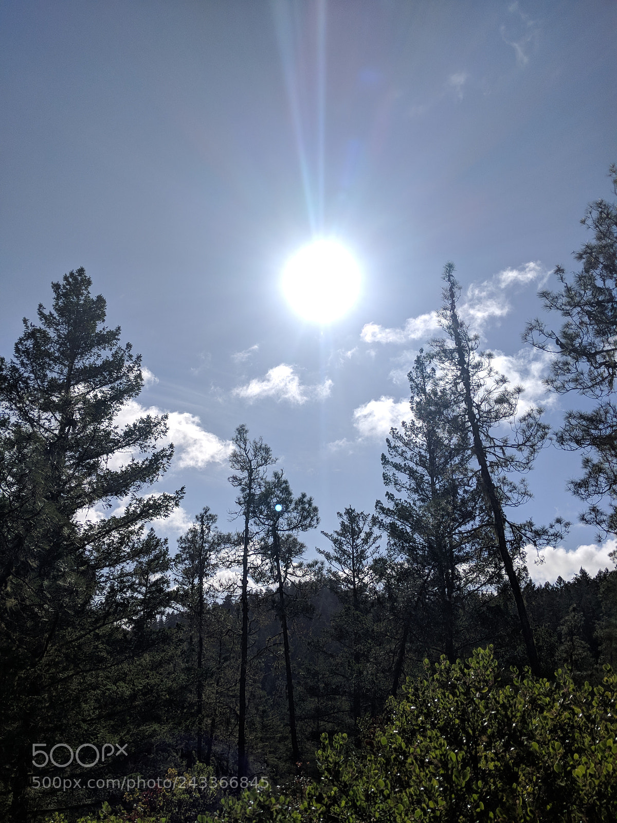 Google Pixel 2 sample photo. Untitled photography