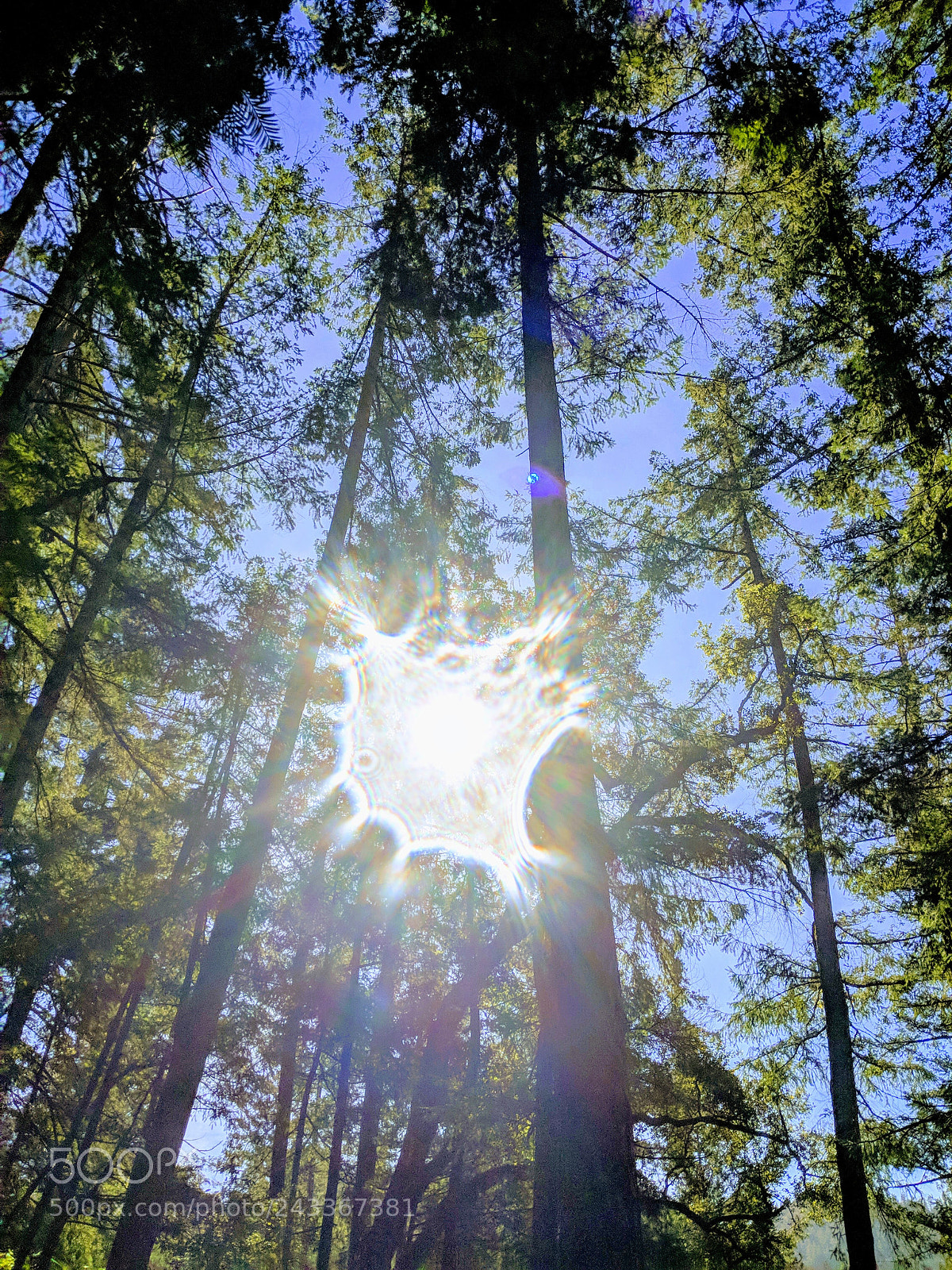Google Pixel 2 sample photo. Untitled photography