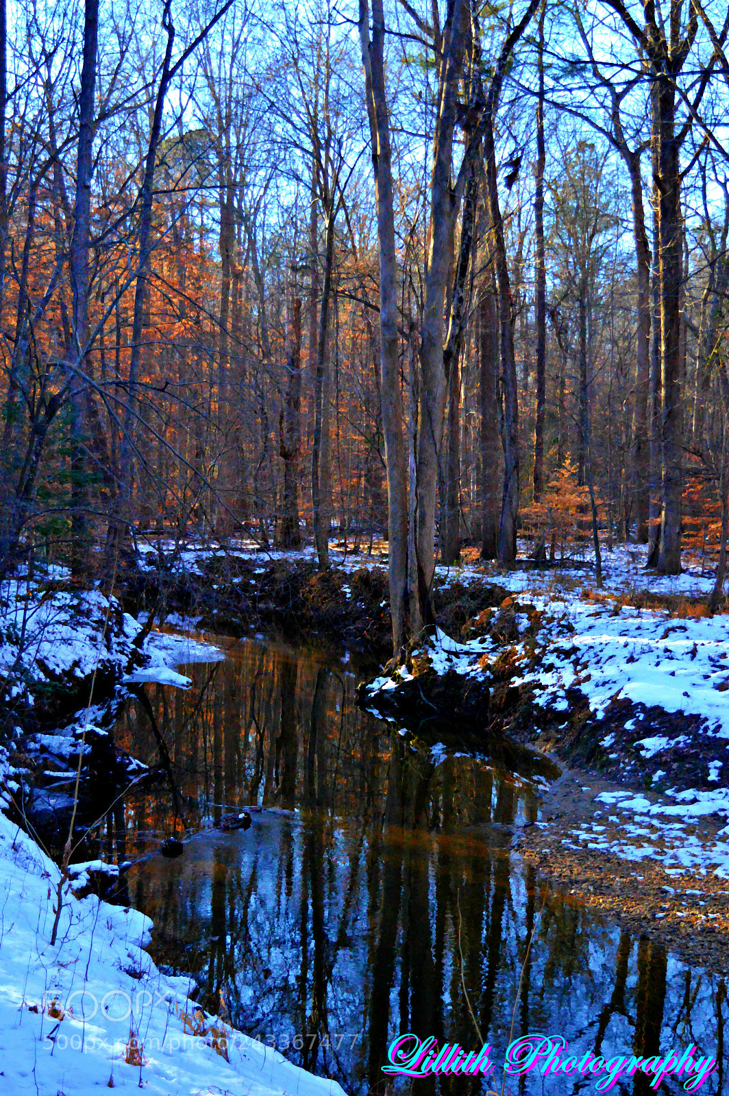 Nikon D3200 sample photo. Creekside wide photography