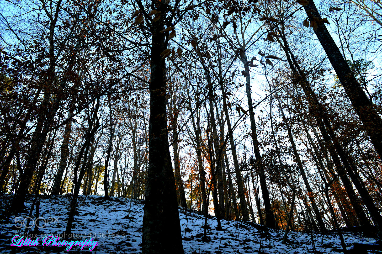 Nikon D3200 sample photo. Snowy bluffs photography