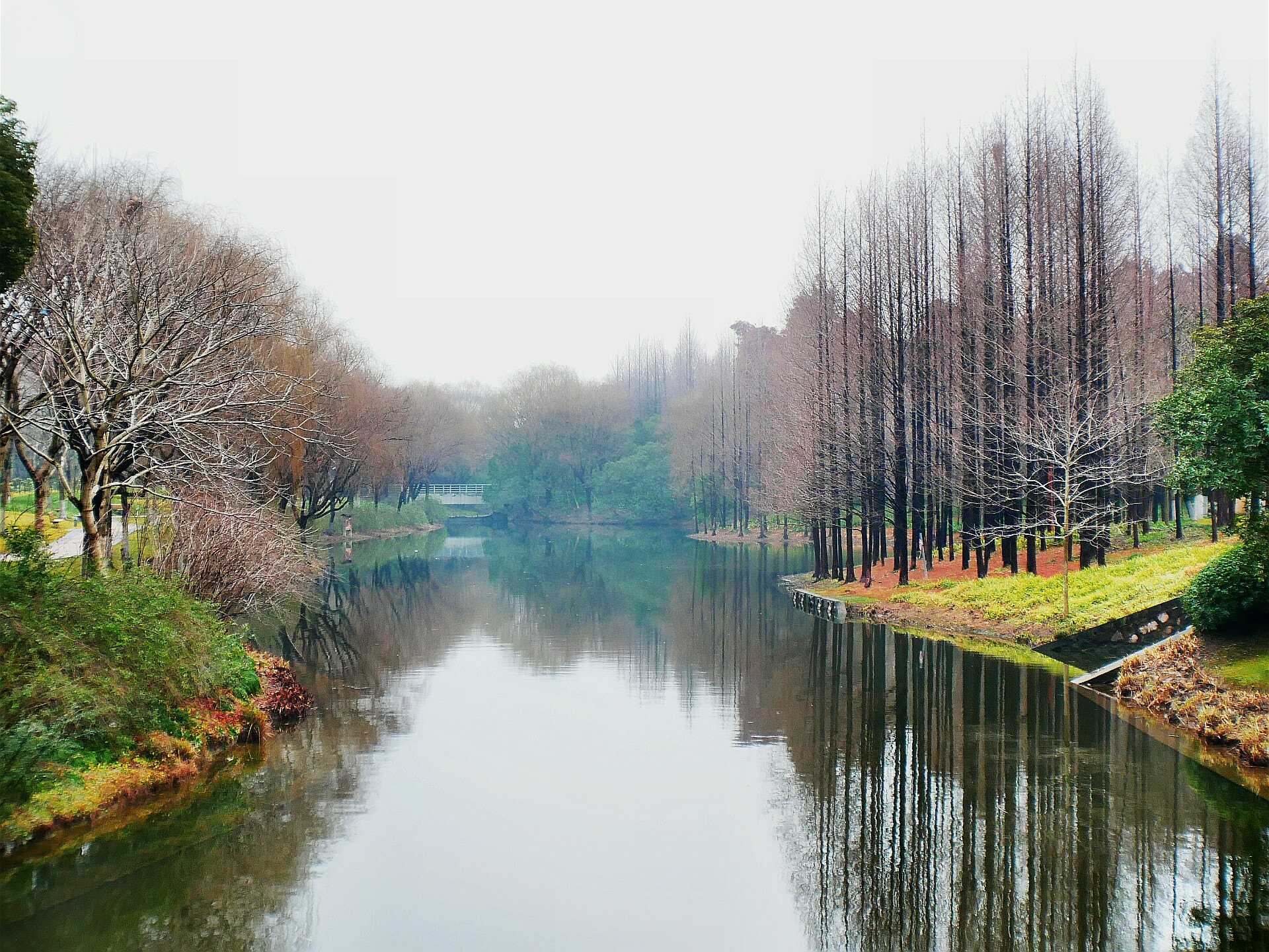 Panasonic Lumix DC-GX850 (Lumix DC-GX800 / Lumix DC-GF9) sample photo. Morning after raining photography