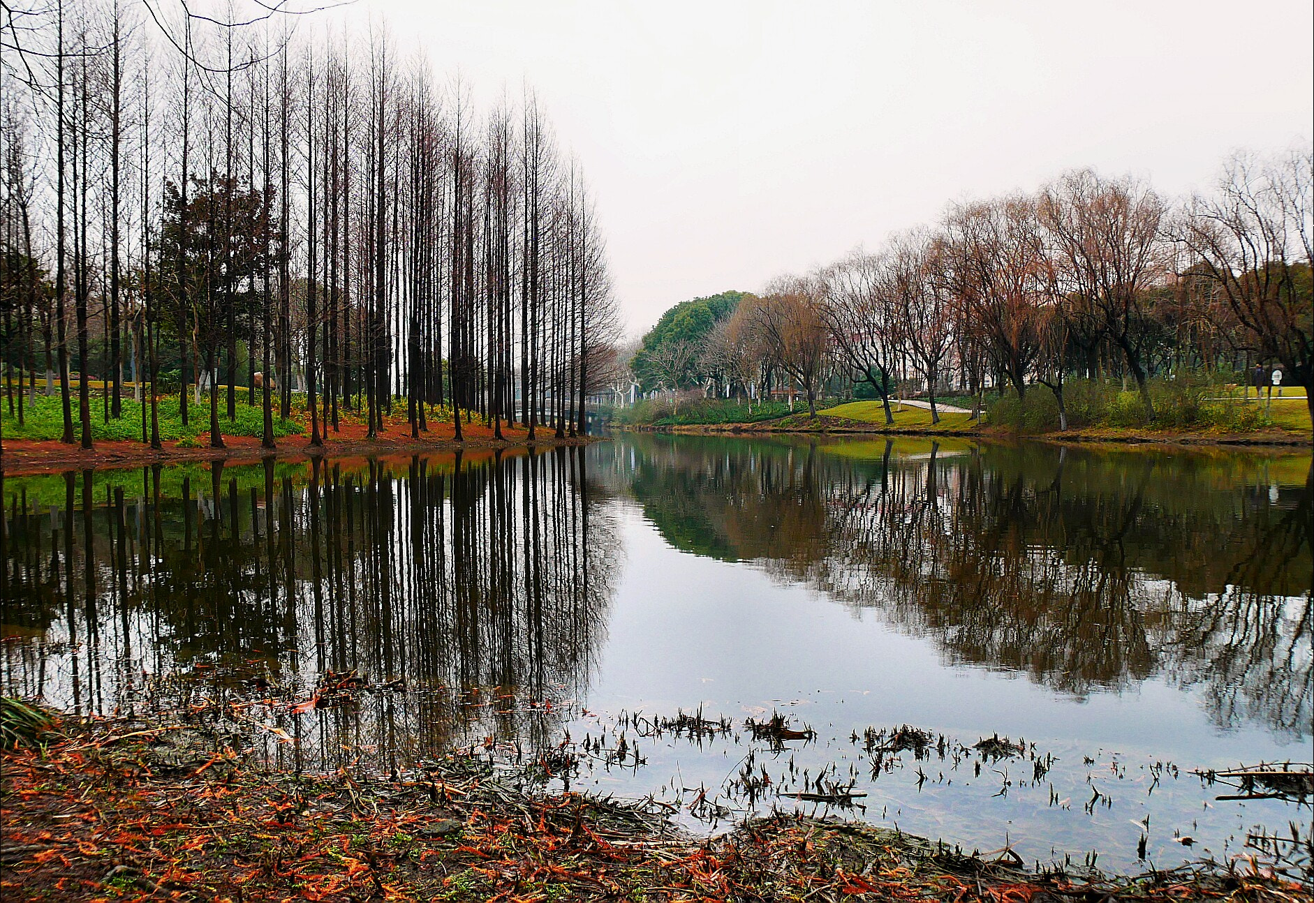 Panasonic Lumix DC-GX850 (Lumix DC-GX800 / Lumix DC-GF9) sample photo. Morning after raining photography