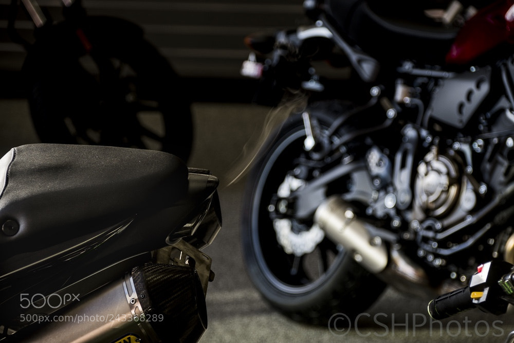 Nikon D500 sample photo. Untitled photography