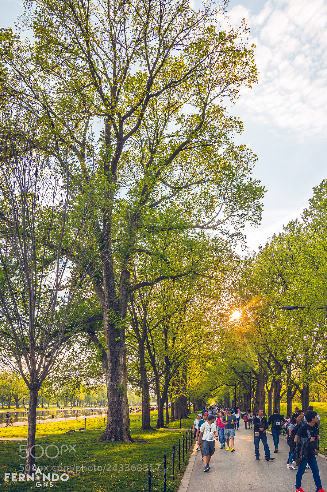 Nikon D7200 sample photo. Constitution gardens photography