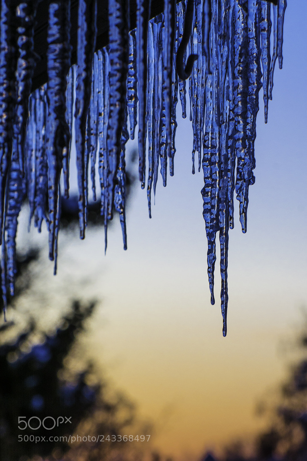Nikon D7100 sample photo. Icicles against a january photography