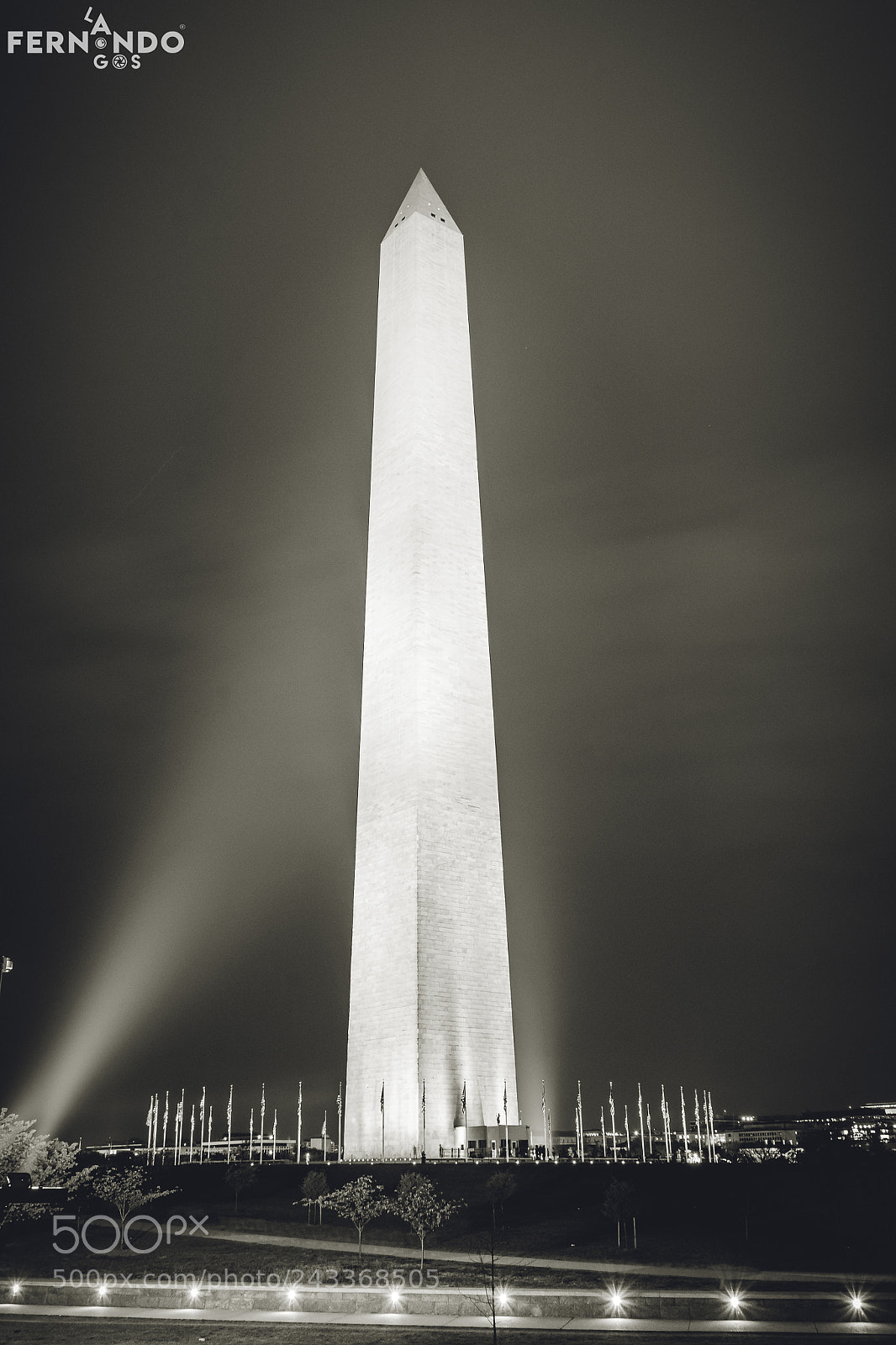 Nikon D7200 sample photo. Washington monument photography