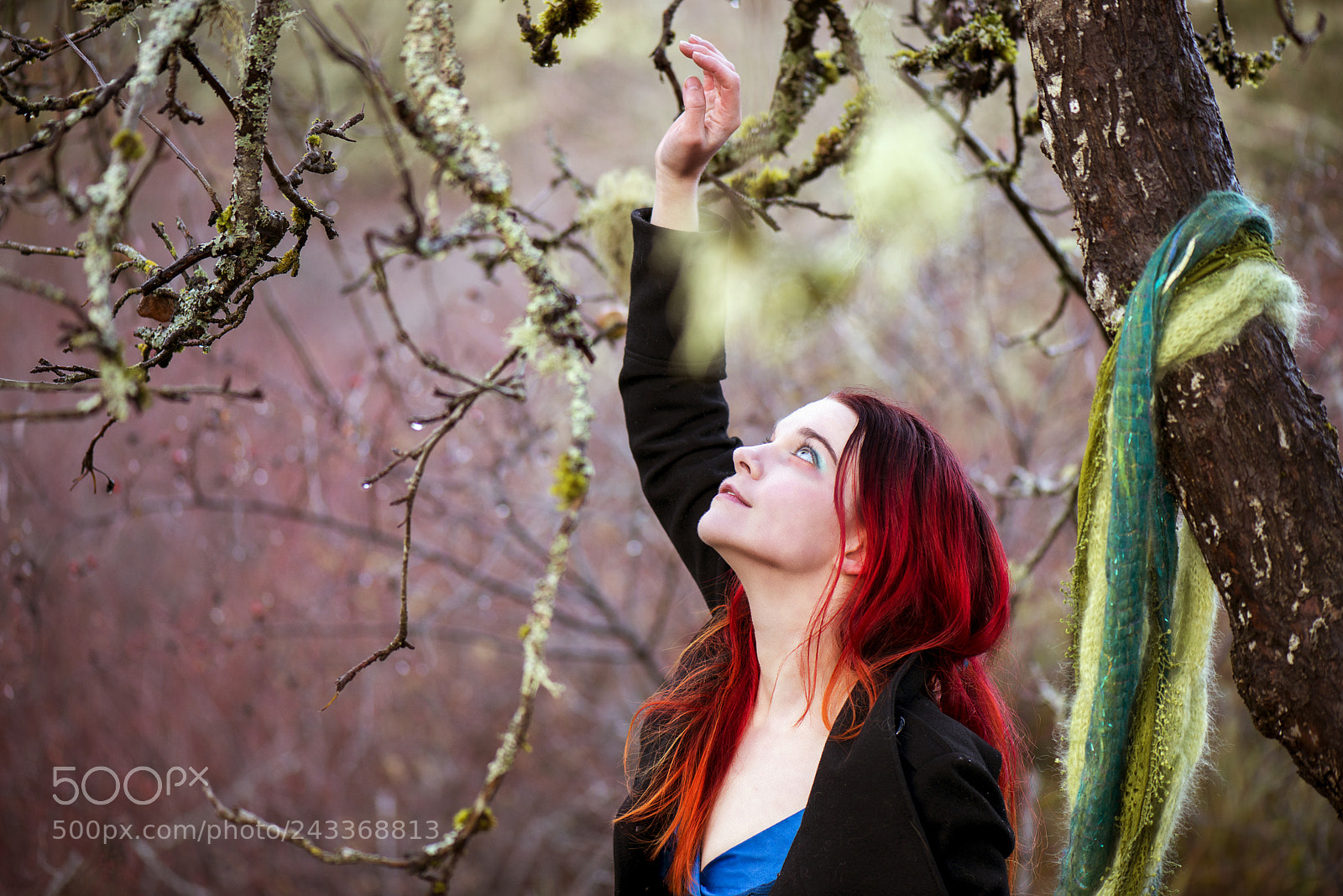 Nikon D800 sample photo. Purposely lost photography