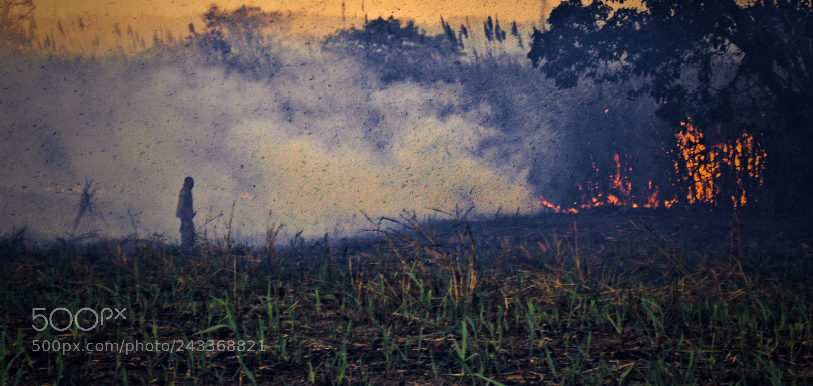 Nikon D3200 sample photo. Campo quemado photography