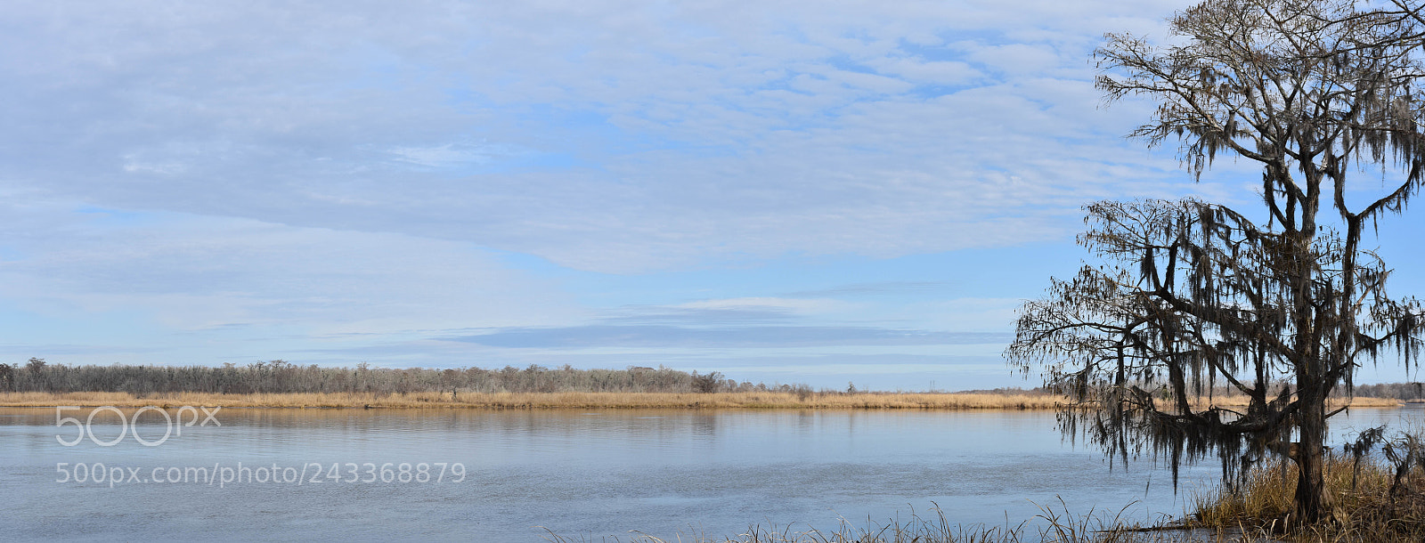 Nikon D7200 sample photo. Pano photography
