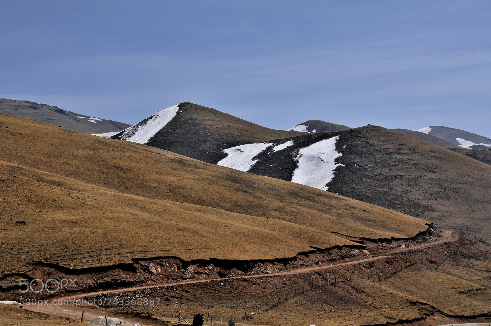 Nikon D300 sample photo. Untitled photography