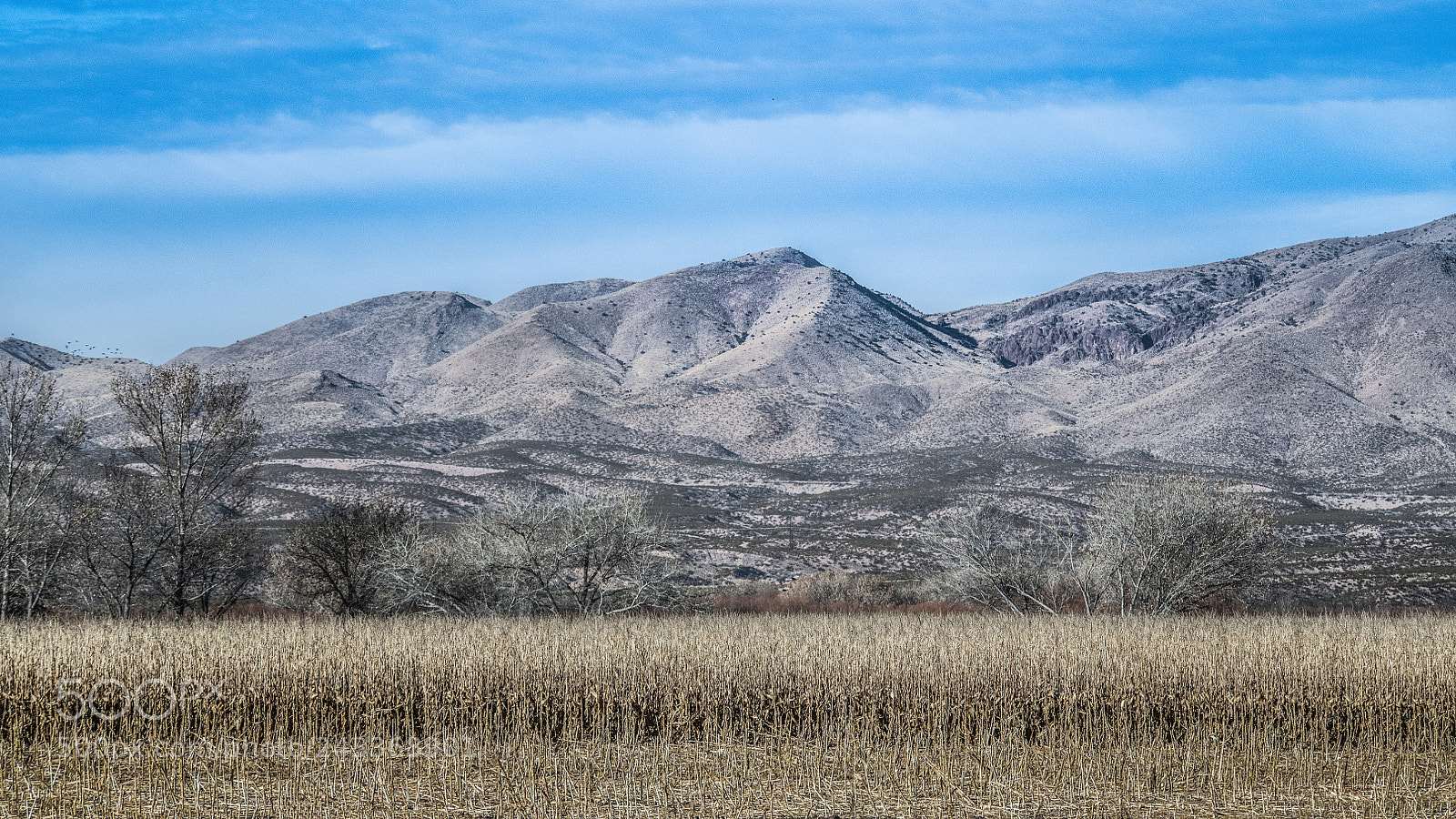 Nikon D850 sample photo. Sanctuary in a dry photography