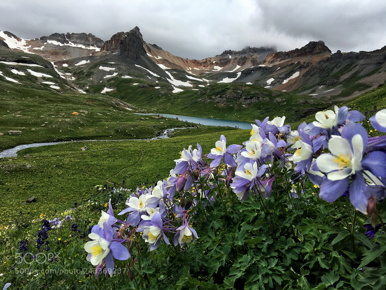 Apple iPhone 6s sample photo. Columbines photography