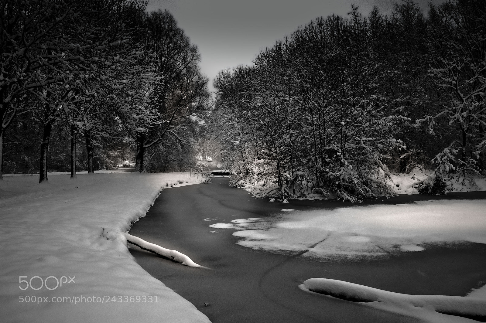 Nikon D50 sample photo. Winter scene photography