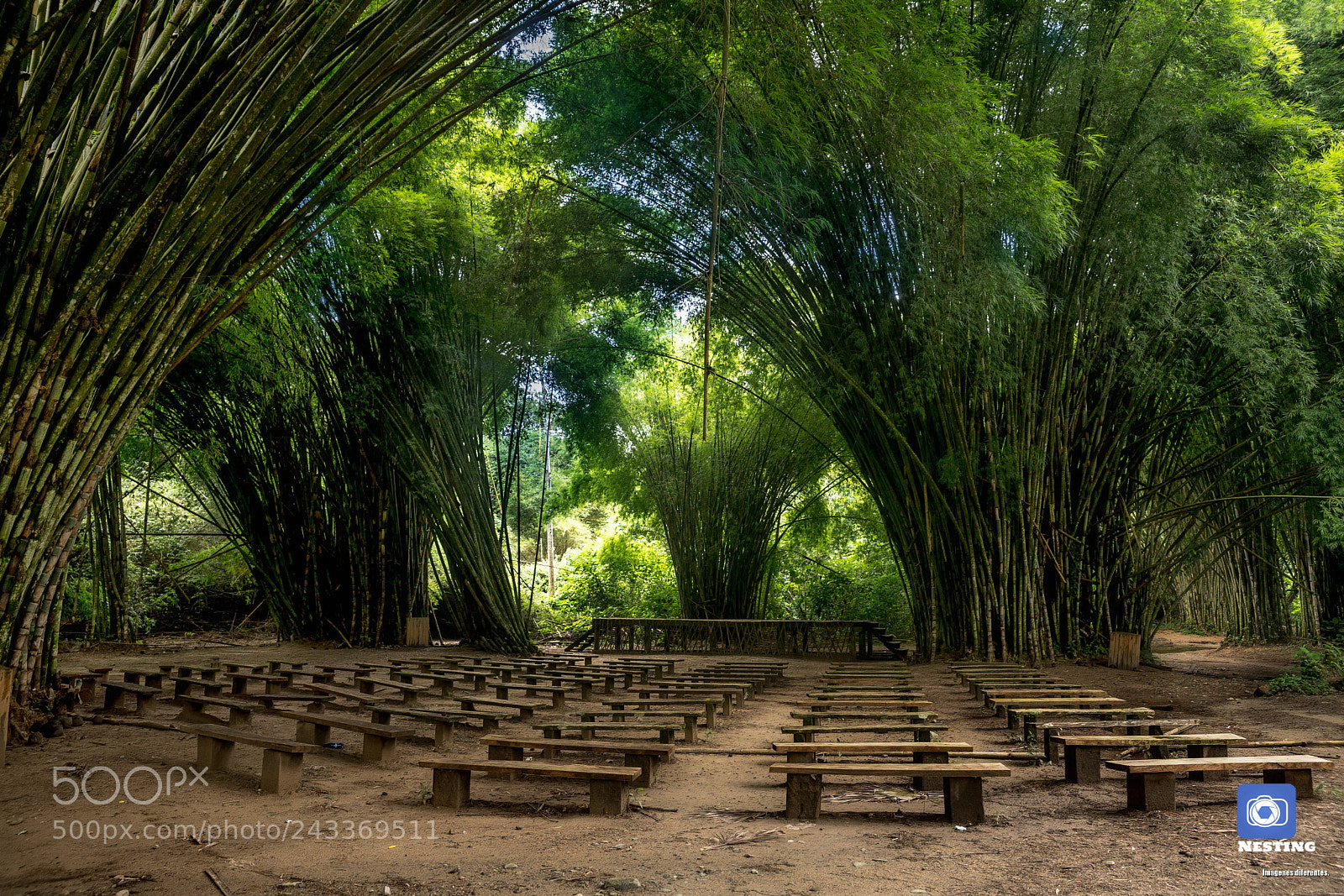 Sony SLT-A99V sample photo. Lancetilla botanic garden, honduras photography