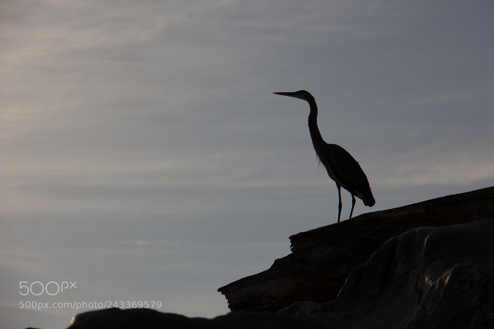 Canon EOS 60D sample photo. Serenity at great falls photography