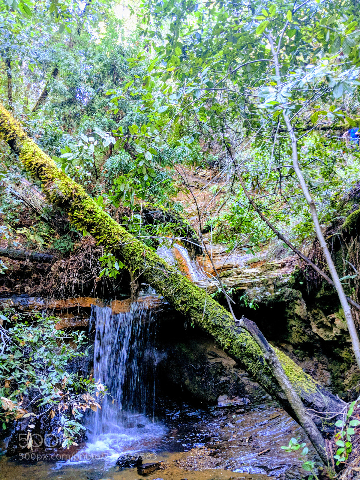 Google Pixel 2 sample photo. Untitled photography