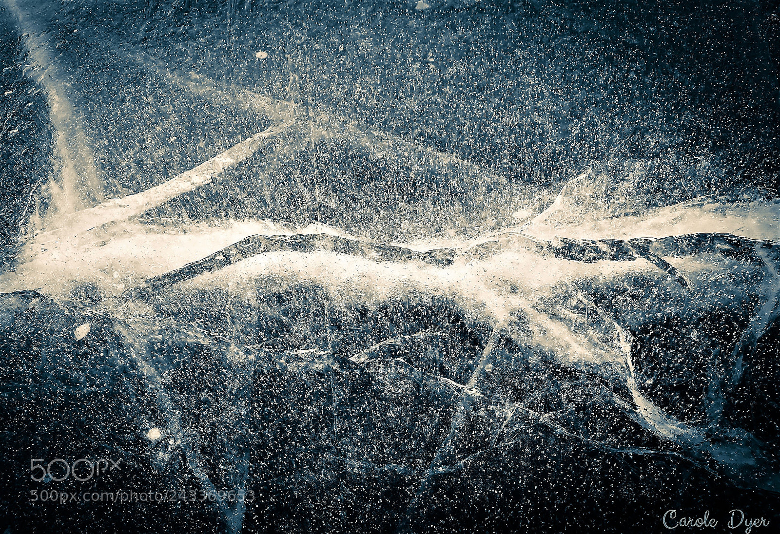 Nikon D5600 sample photo. Ice crack photography