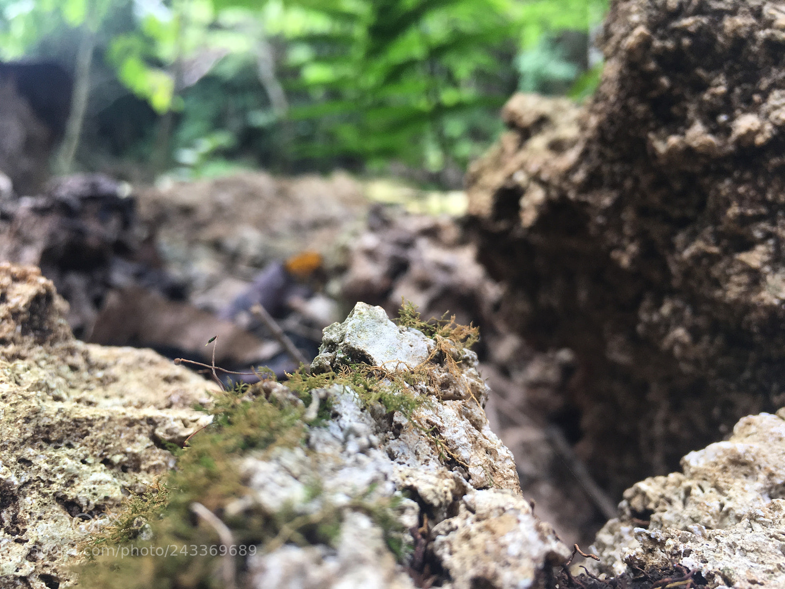 Apple iPhone 6s sample photo. Untitled photography