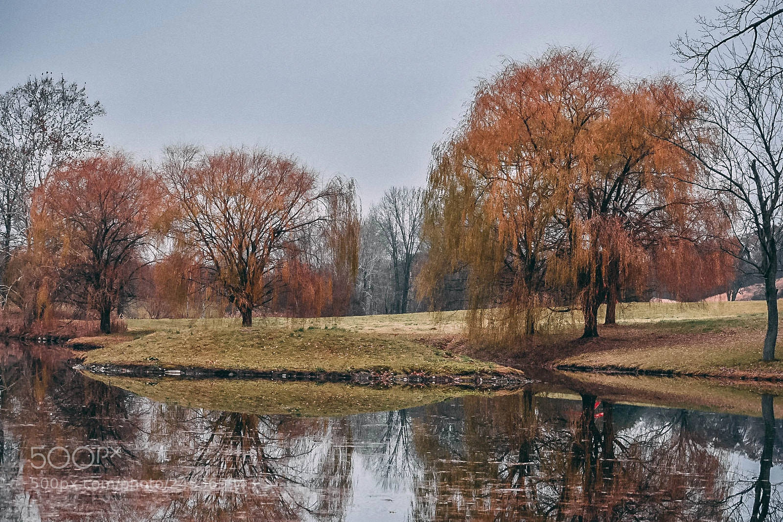 Nikon D3400 sample photo. Reflection photography