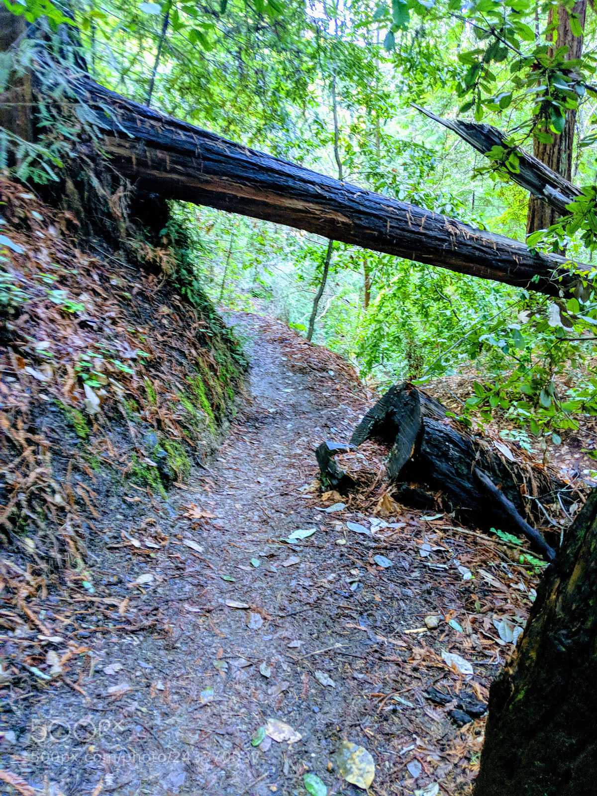 Google Pixel 2 sample photo. Untitled photography