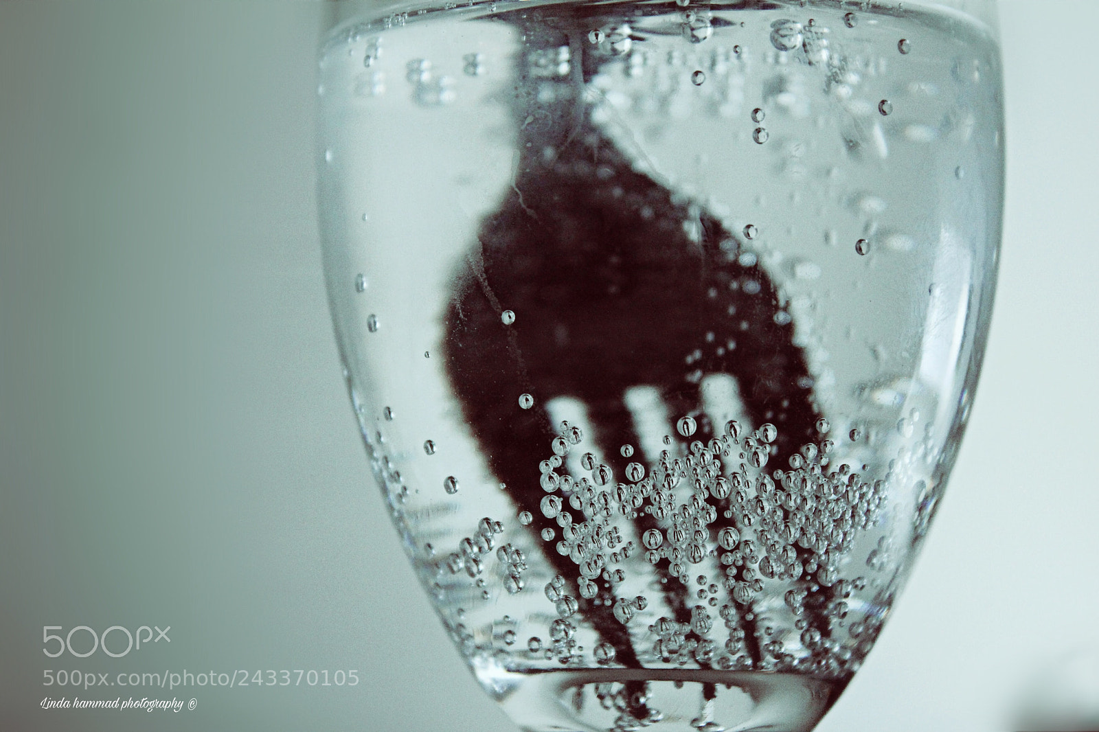 Canon EOS 550D (EOS Rebel T2i / EOS Kiss X4) sample photo. ? photography