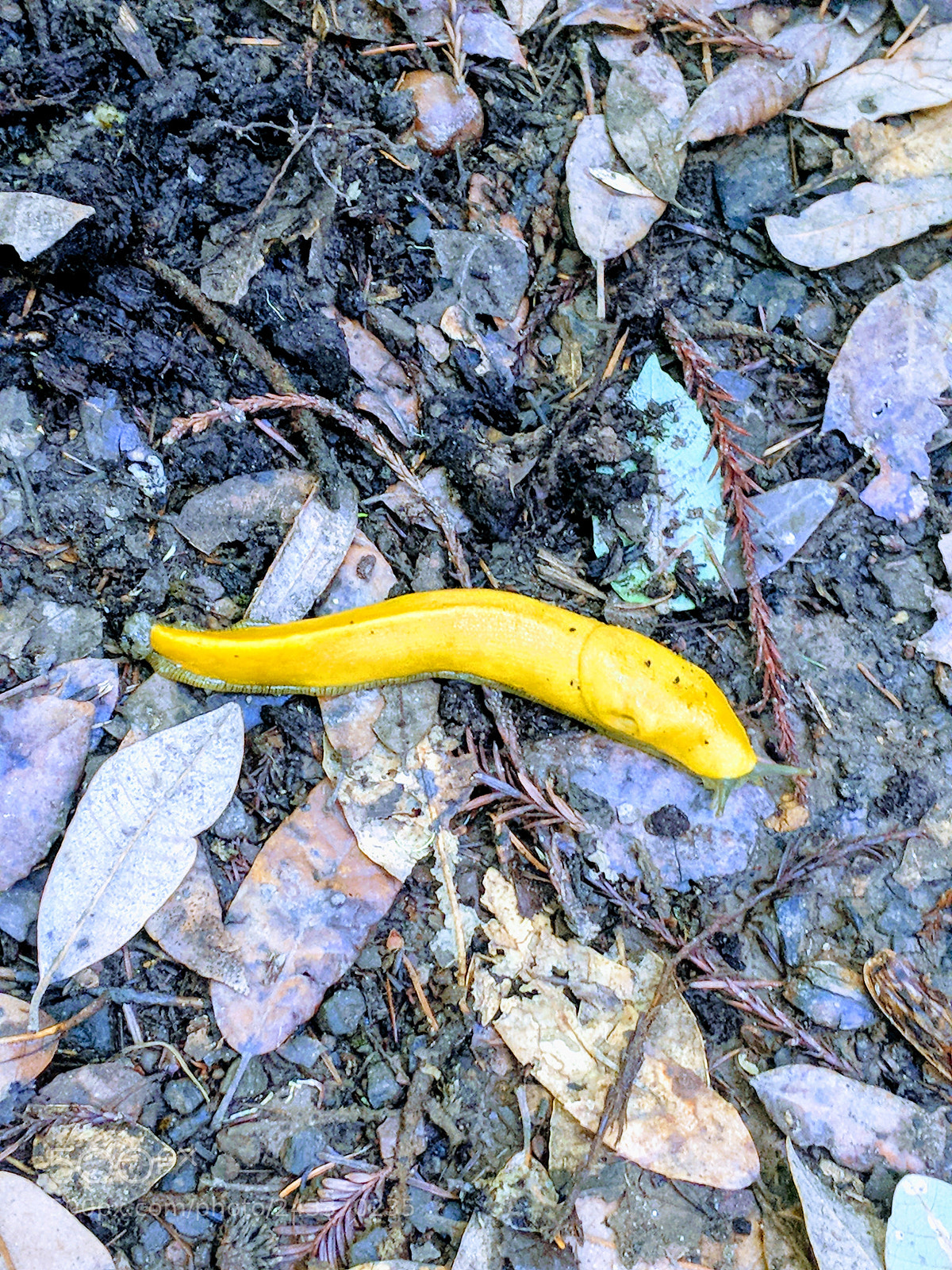 Google Pixel 2 sample photo. Untitled photography