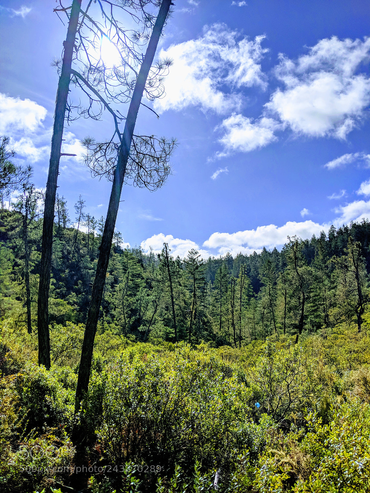 Google Pixel 2 sample photo. Untitled photography