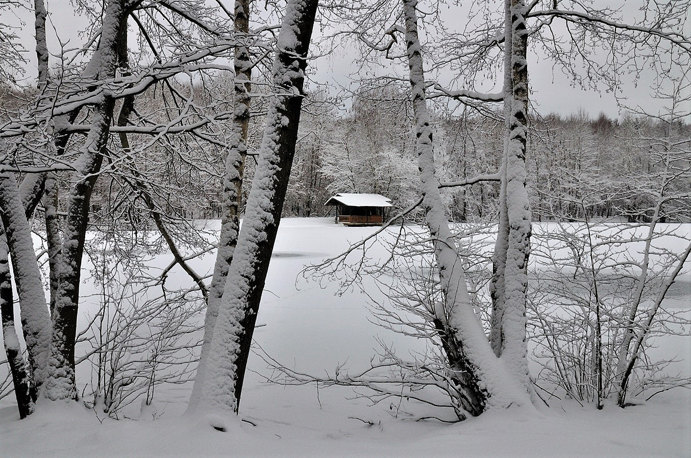 Nikon D5000 sample photo. Jpgнн х photography