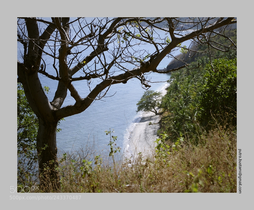 Pentax K-5 sample photo. Stuck on the edge photography