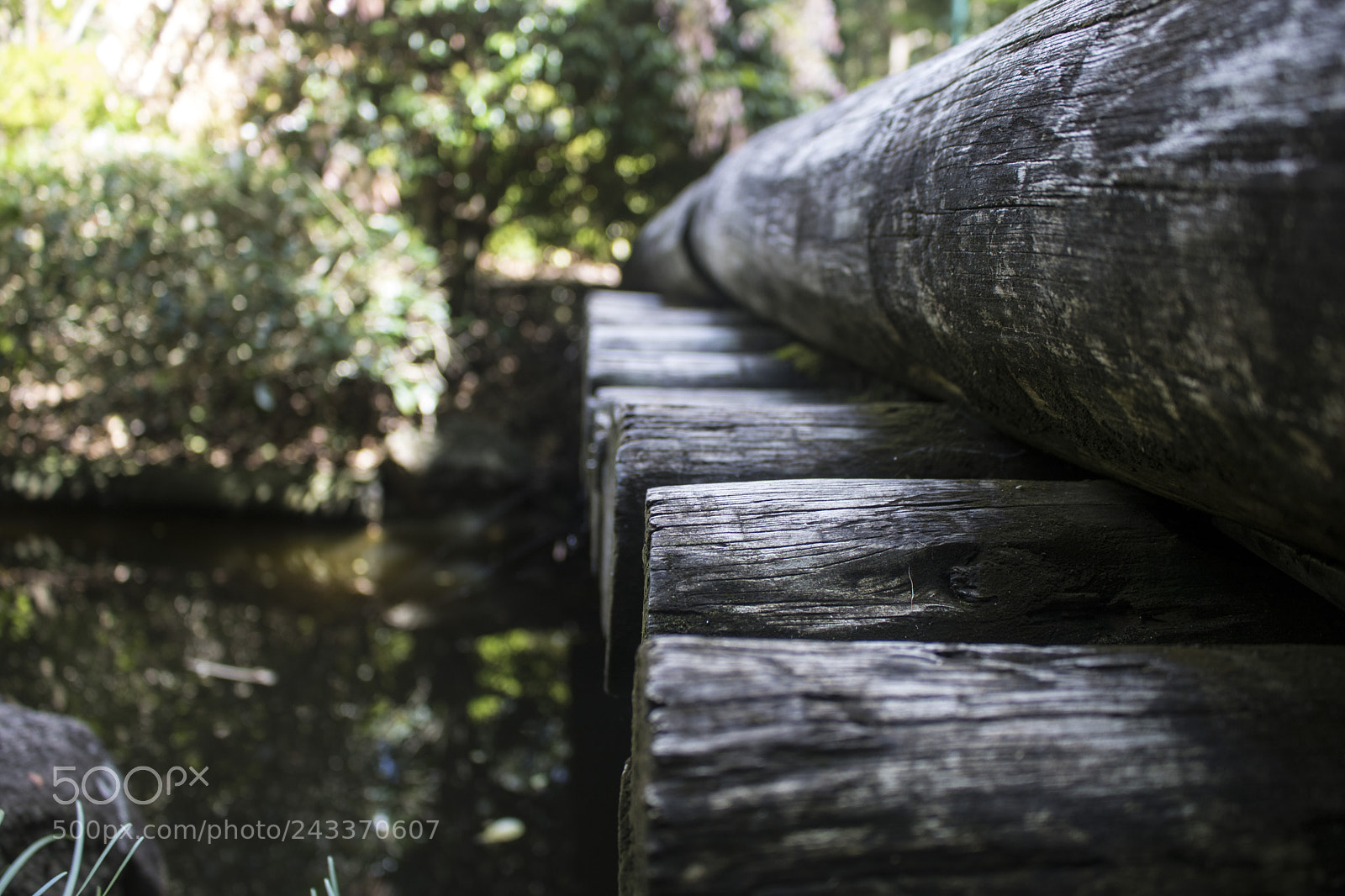 Canon EOS 750D (EOS Rebel T6i / EOS Kiss X8i) sample photo. Japanese garden bridge photography