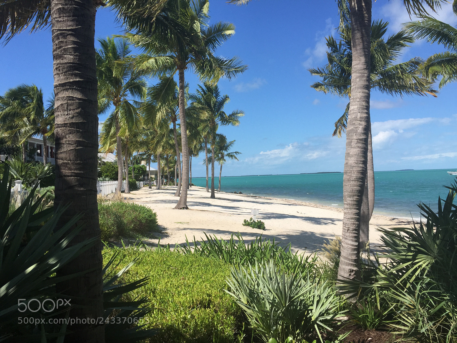 Apple iPhone 6 Plus sample photo. Key west photography