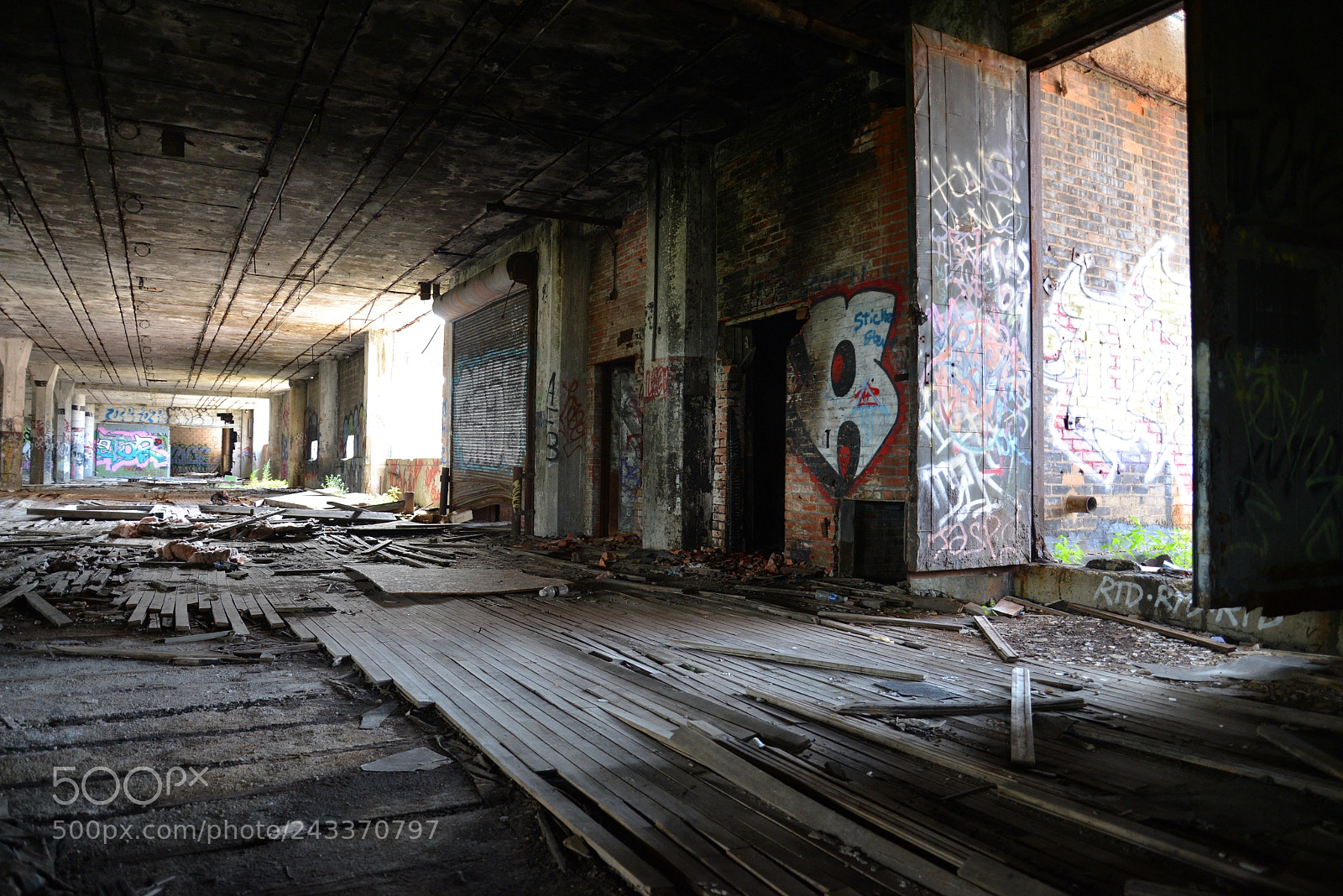 Nikon D600 sample photo. Untitled photography