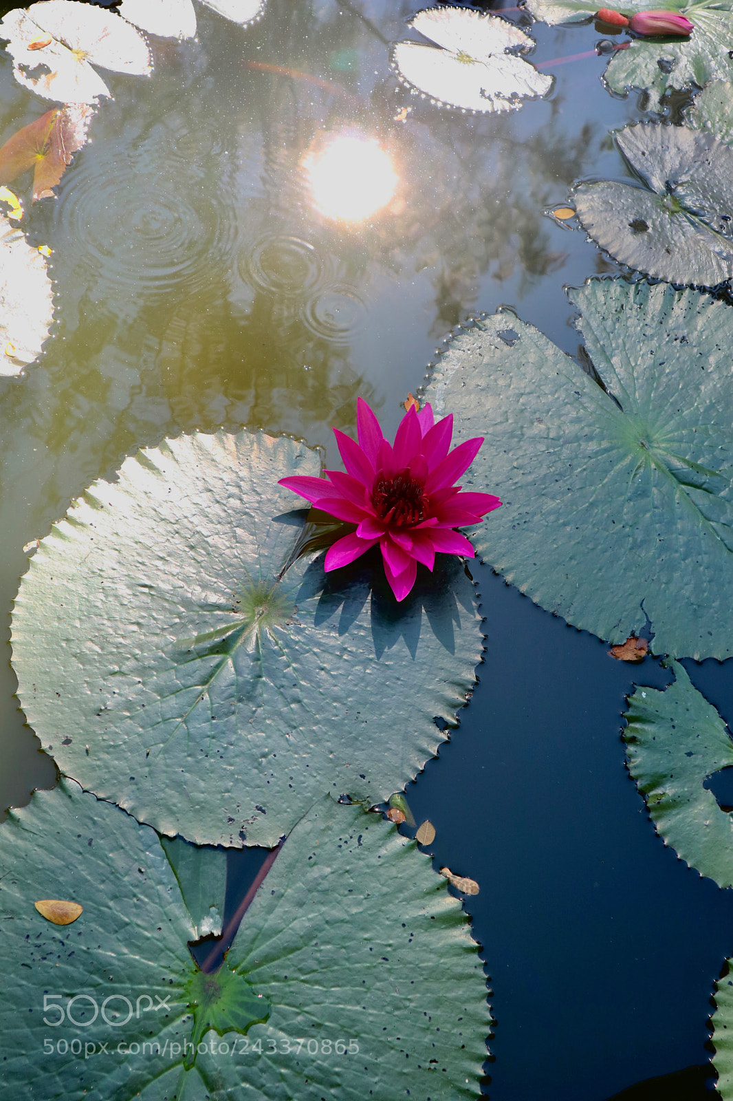 Canon EOS M3 sample photo. Water light photography