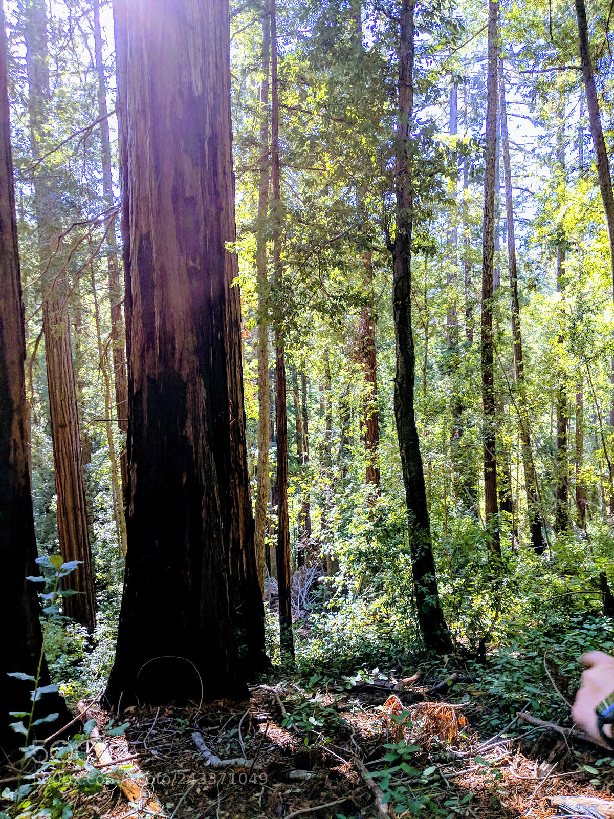 Google Pixel 2 sample photo. Untitled photography