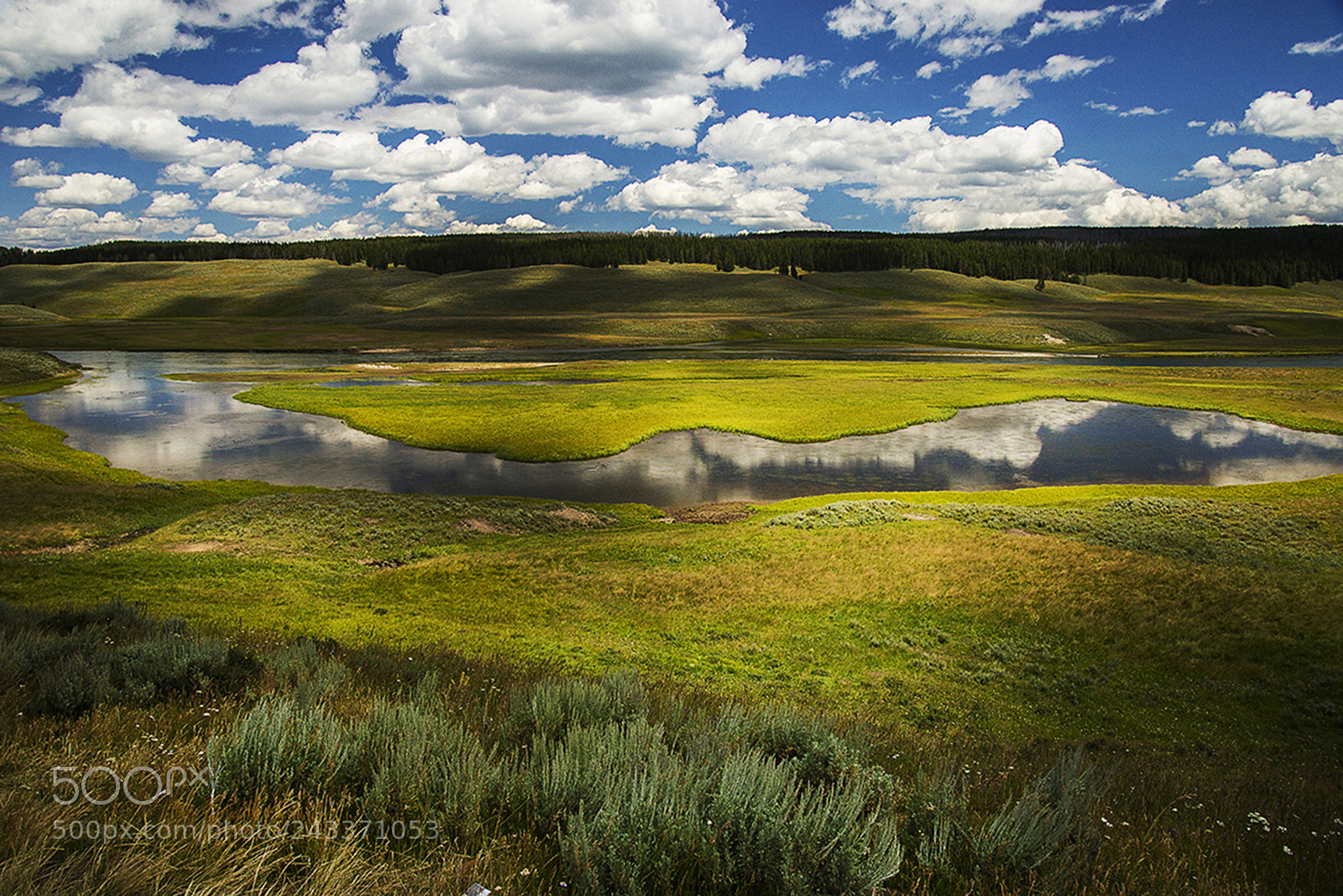 Nikon D610 sample photo. Hayden valley light and photography