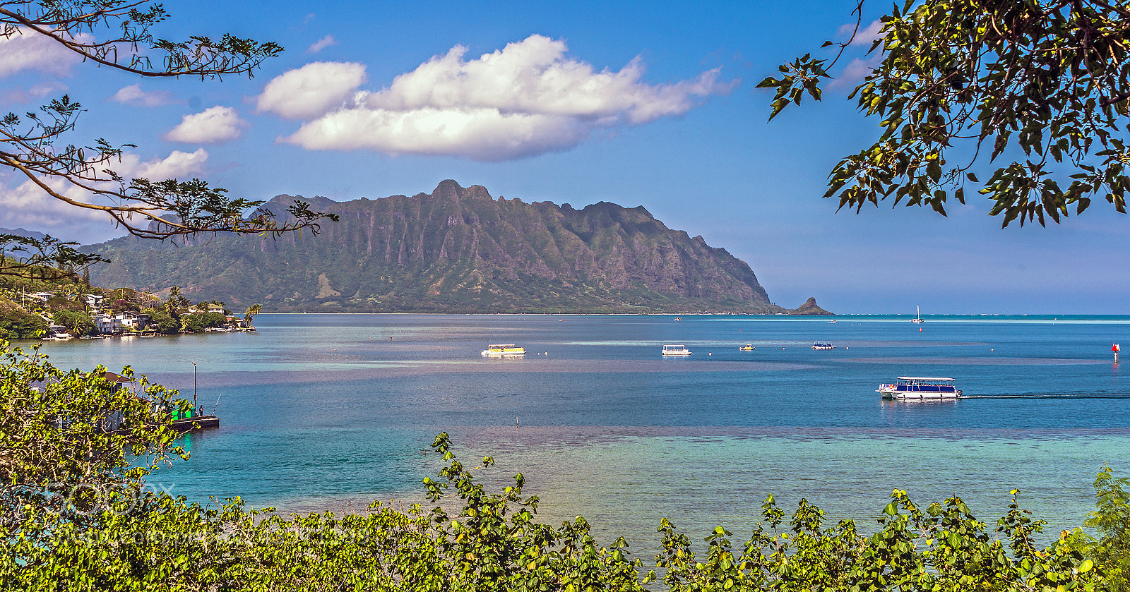 Nikon D610 sample photo. O'ahu northside photography