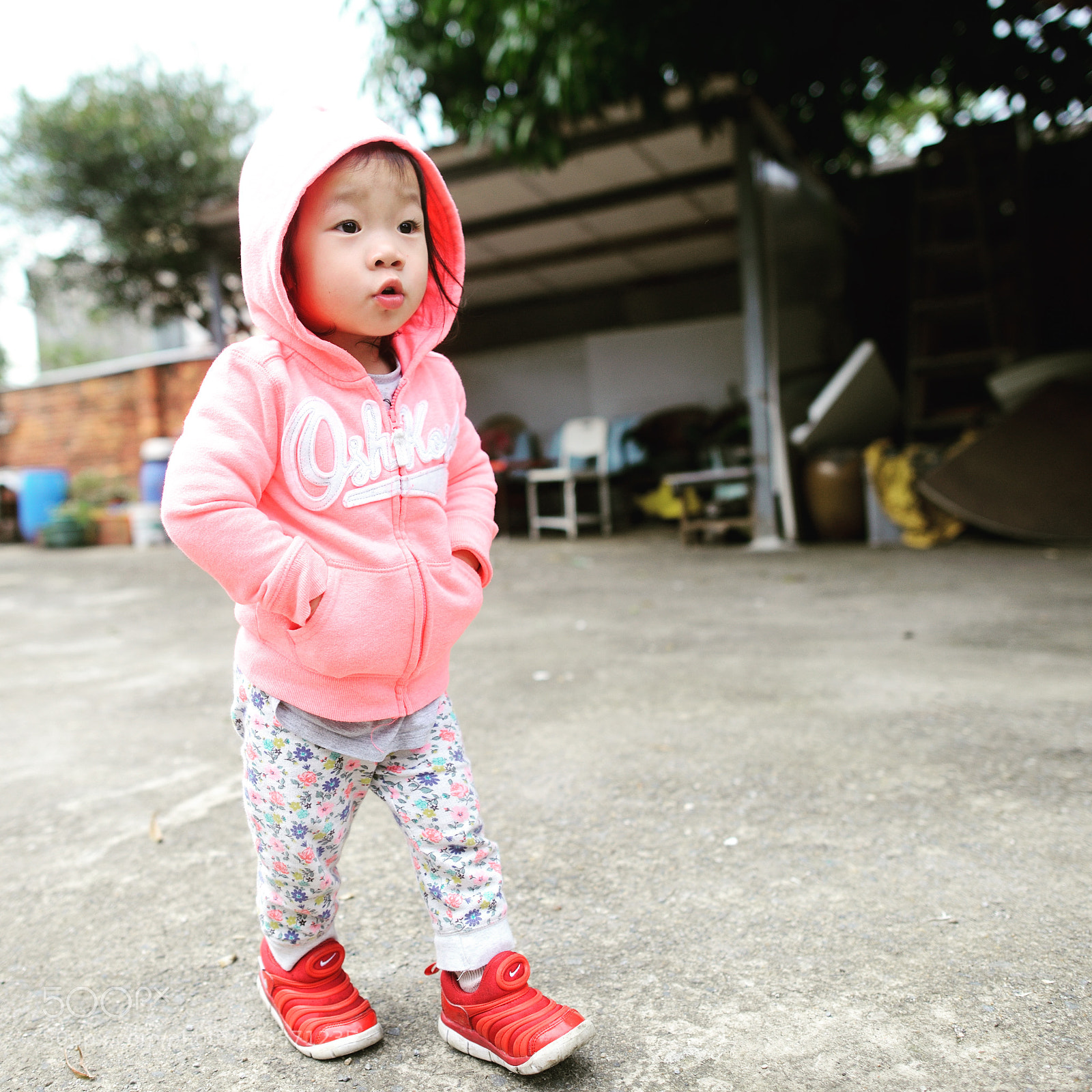 Nikon D800 sample photo. Untitled photography