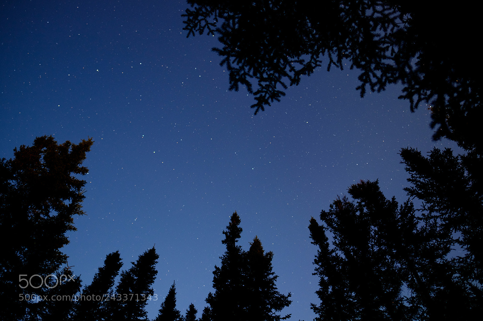 Fujifilm X-T1 sample photo. Regular starry night. photography
