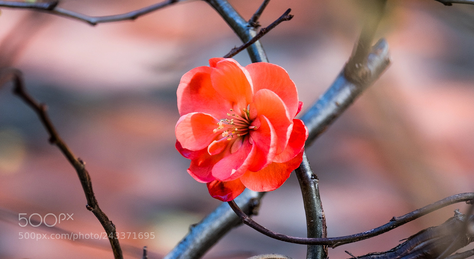 Fujifilm X-T2 sample photo. Dscf6639-4.jpg photography