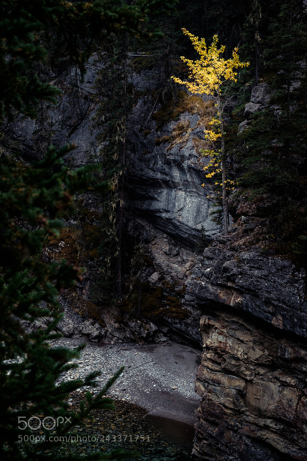 Fujifilm X-T1 sample photo. Stewart canyon, ab photography
