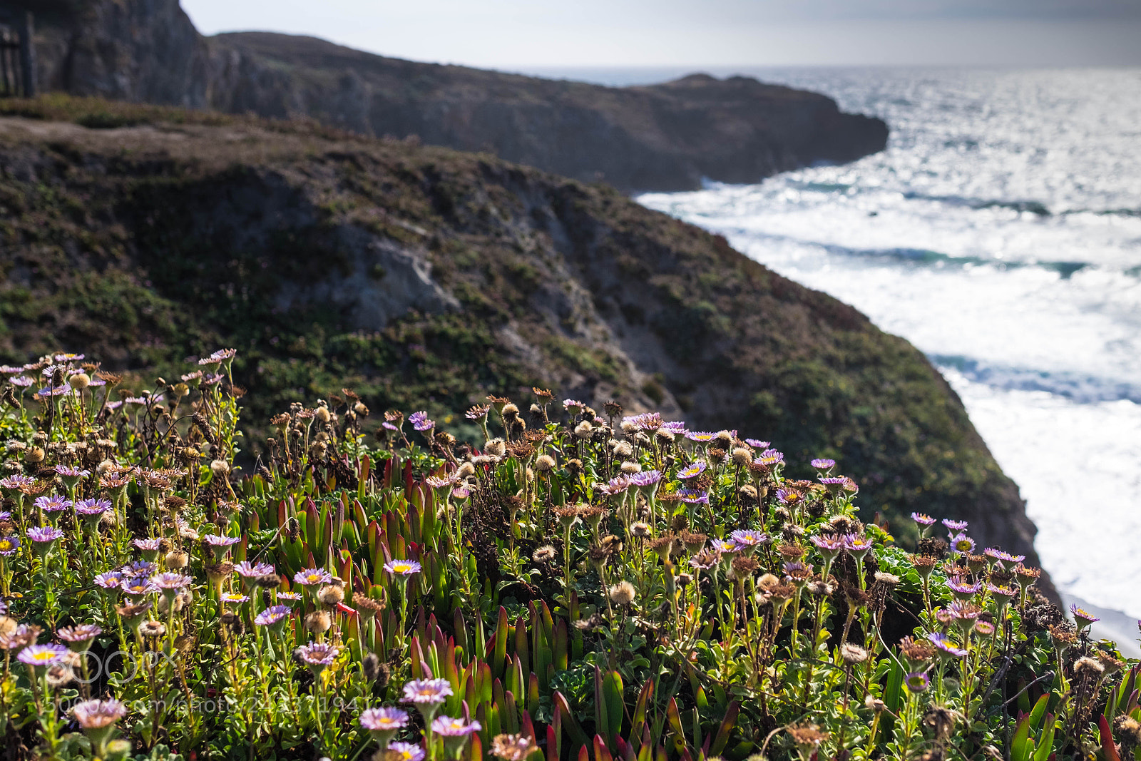 Fujifilm X-T1 sample photo. Pacific coast photography