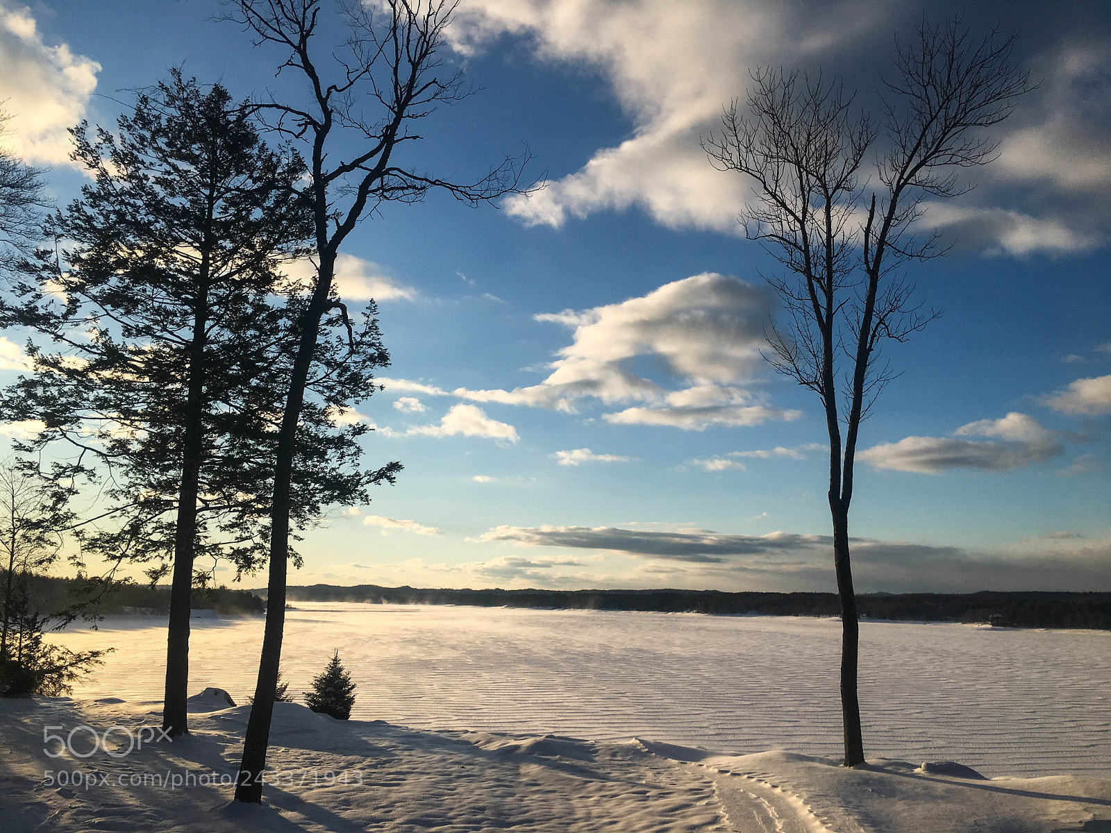 Apple iPhone 6s sample photo. Post-blizzard photography