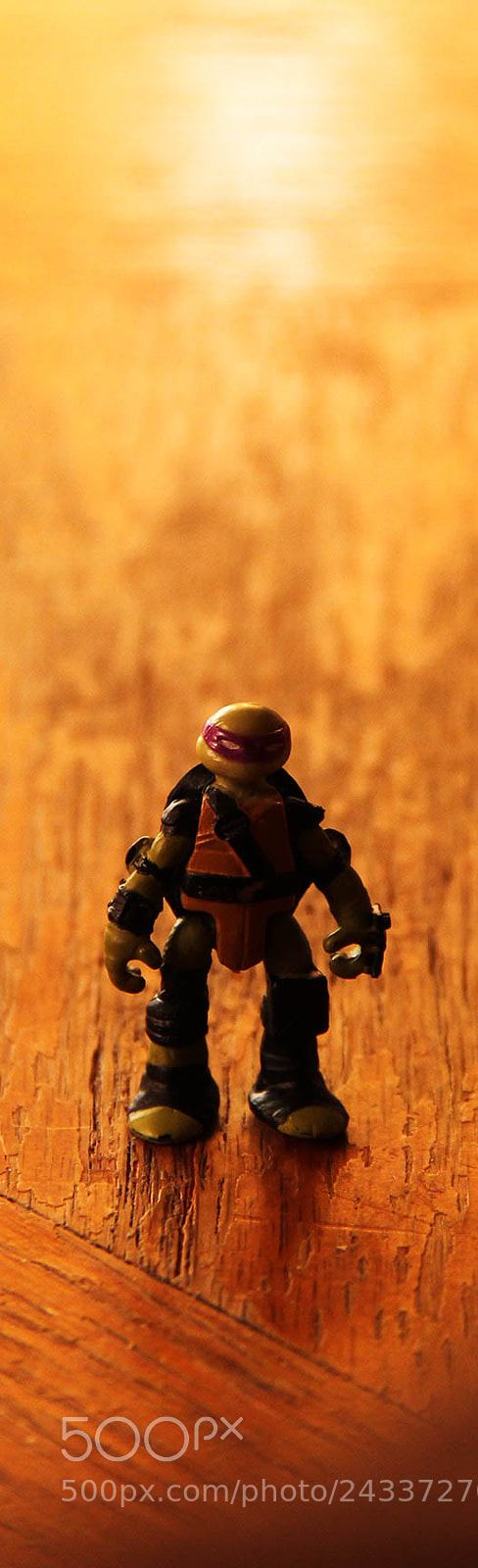 Canon EOS 60D sample photo. Img photography