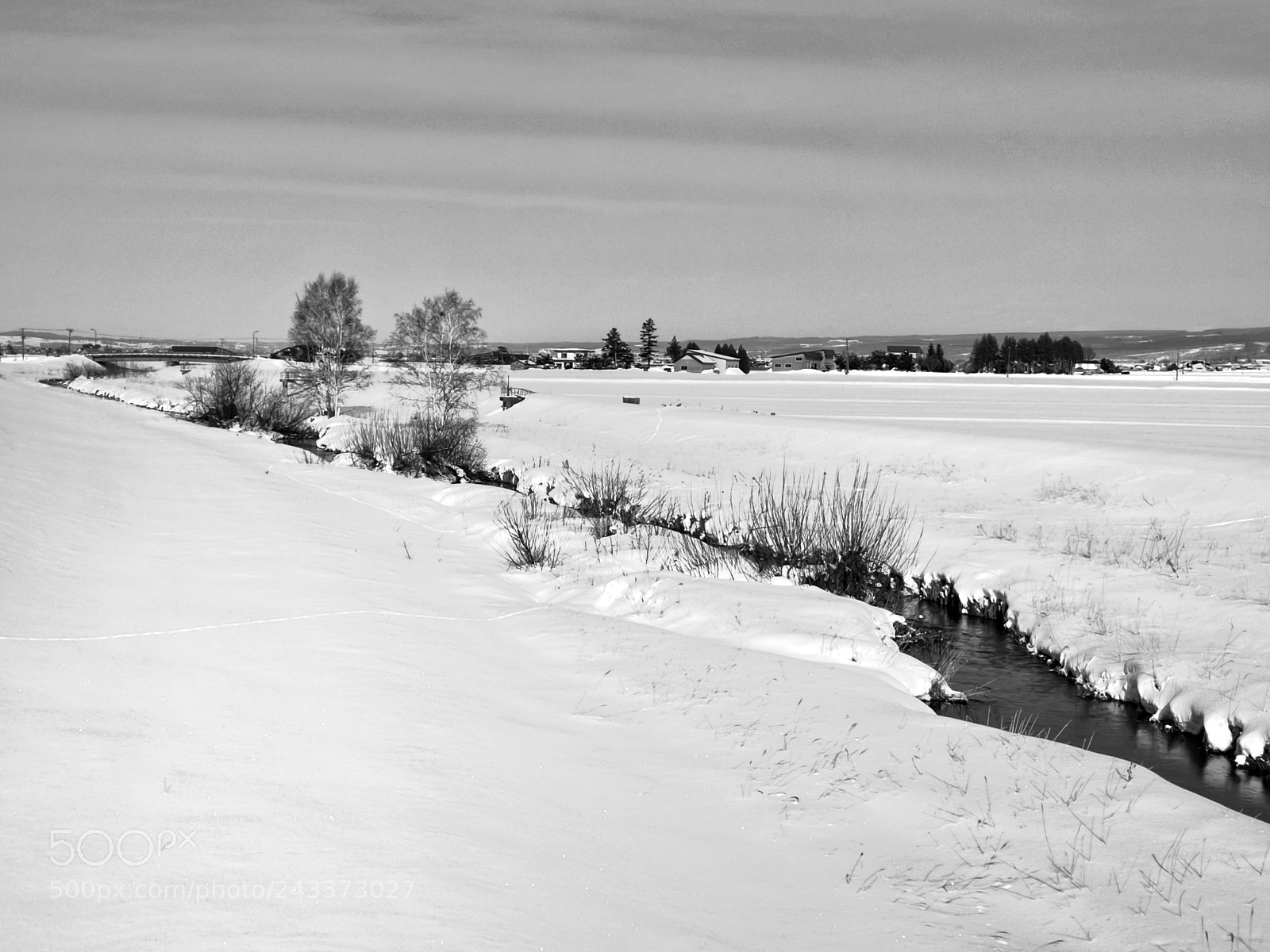 HUAWEI P10 Plus sample photo. Winter field photography