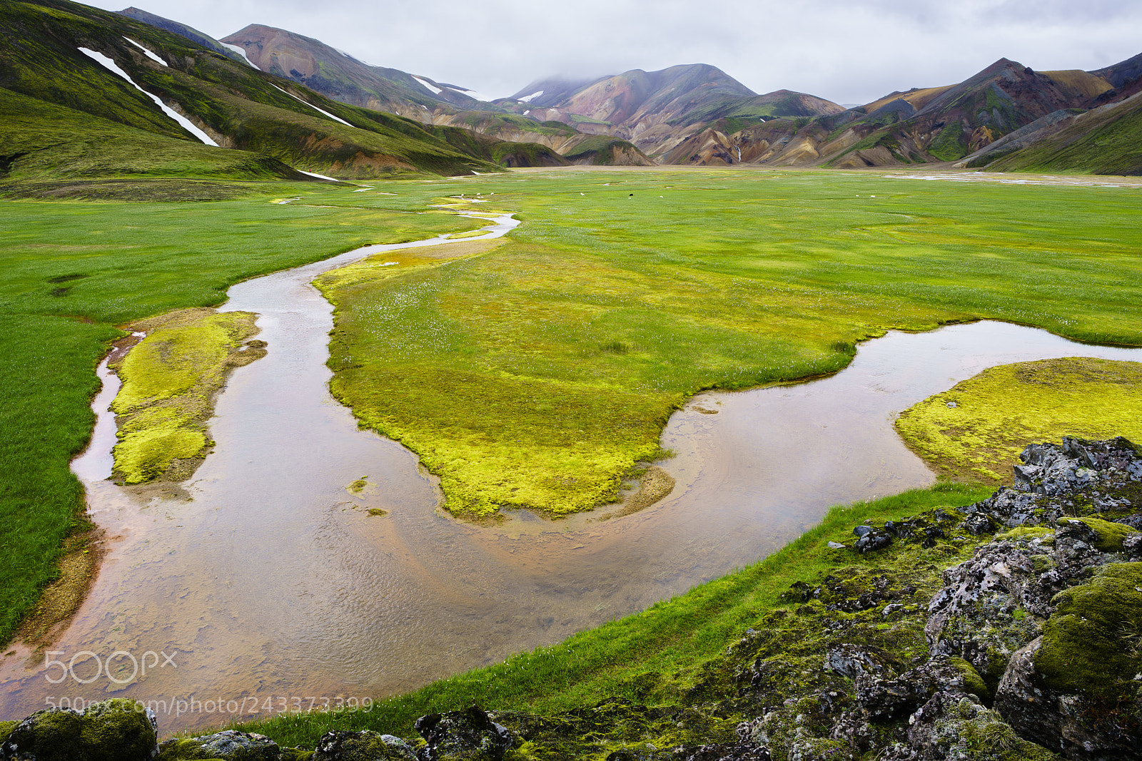 Sony a7R II sample photo. Landmannalaugar meadow ii photography