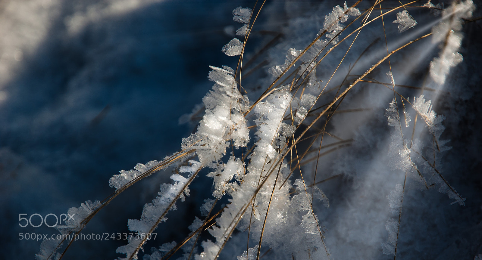 Nikon D50 sample photo. Crystals photography