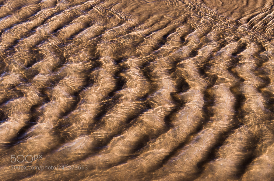 Pentax K-5 sample photo. Underwater dunes photography